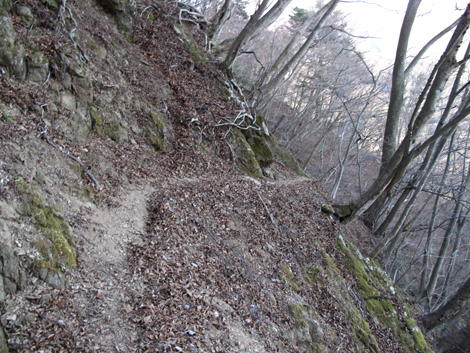 20190108hike (109)
